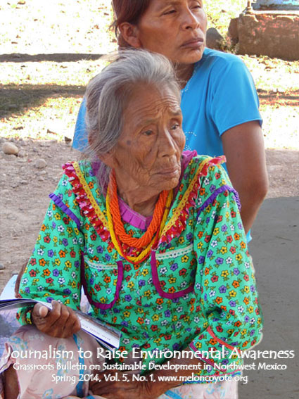 Nayeri women