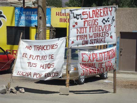 Letreros de protesta