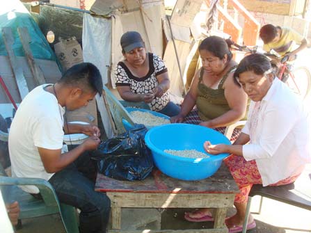 Farm workers