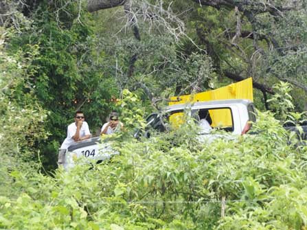 security guards on the property