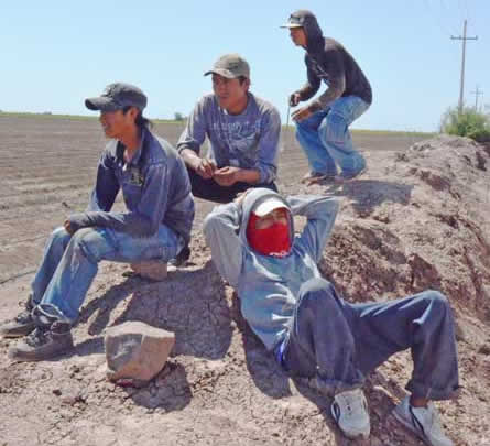 Workers at the end of shift