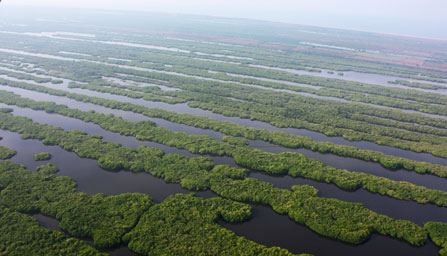 Nayarit National Wetlands